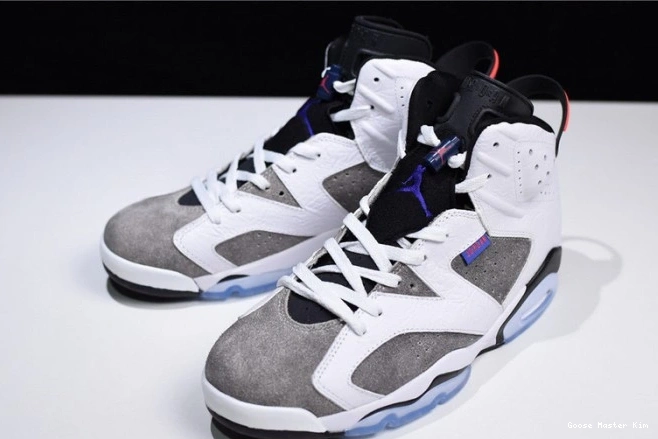 Jordan 6 Grey Flint CI3125-100 Air 0801